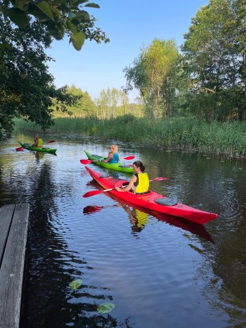 whatsapp image 2026-03-04 at 15.25.54